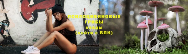 мет Богородицк