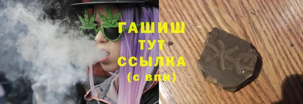 spice Богородск