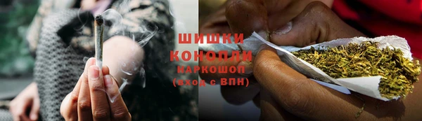 spice Богородск