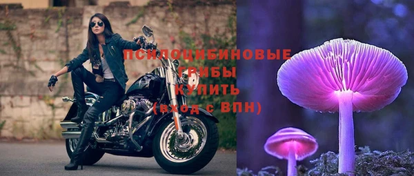метамфетамин Богданович