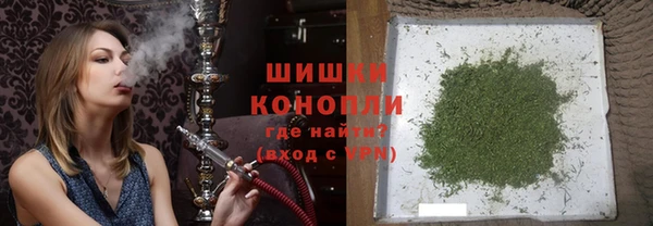 spice Богородск