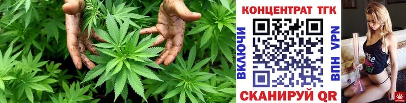 ТГК Wax  Обнинск 