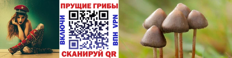 что такое наркотик  Обнинск  Галлюциногенные грибы мухоморы 